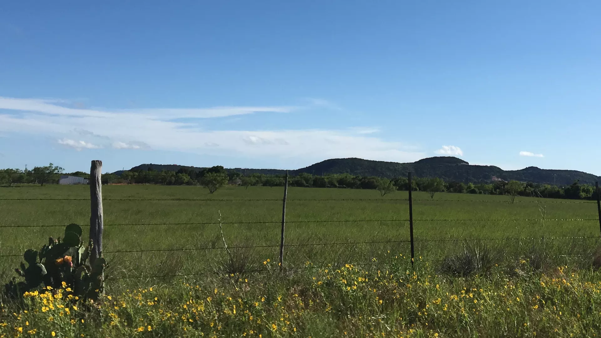 Cactus & Mountain