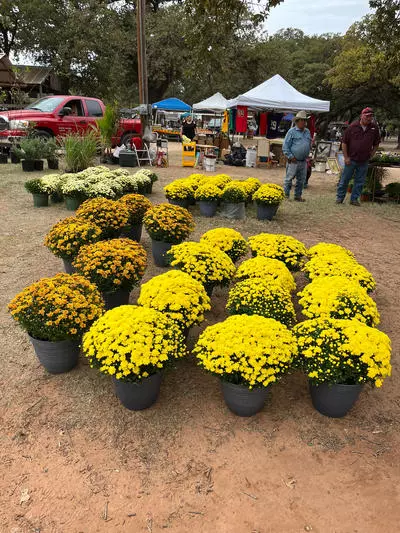 Vendor - Flowers/Plants